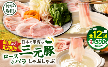 【 全12回 毎月 定期便 】 日本 の 米育ち 平田牧場 三元豚ロース 250g ・ バラ しゃぶしゃぶ ロース 250g T036-T02-03 肉 豚肉