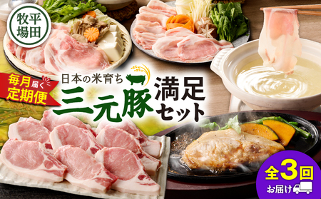 【 全3回 毎月 定期便 】 日本 の 米育ち 平田牧場 の 満足セット ！ T036-T05-01 肉 豚肉