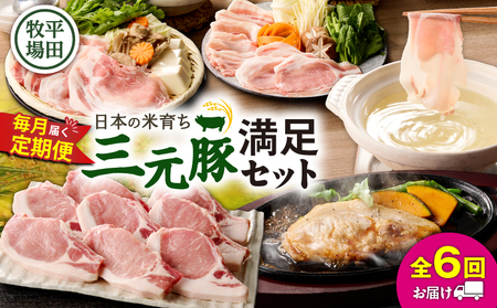 【 全6回 毎月 定期便 】 日本 の 米育ち 平田牧場 の 満足セット ！ T036-T05-02 肉 豚肉