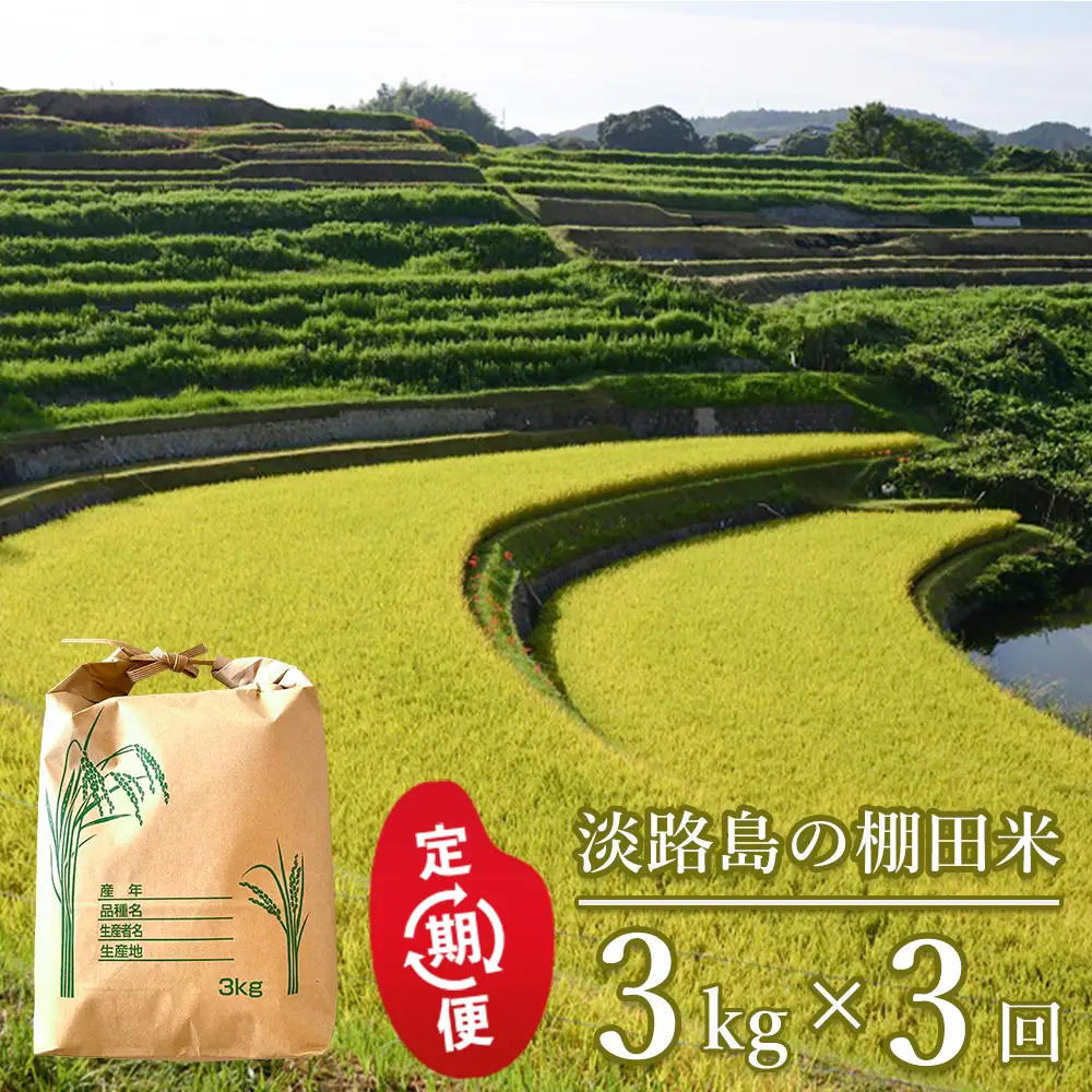 【定期便】淡路島の棚田米 ３kg×３回　白米