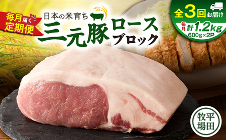 【 全3回 毎月 定期便 】 日本 の 米育ち 平田牧場 三元豚 ロース ブロック 1.2kg T036-T07-01 肉 豚肉