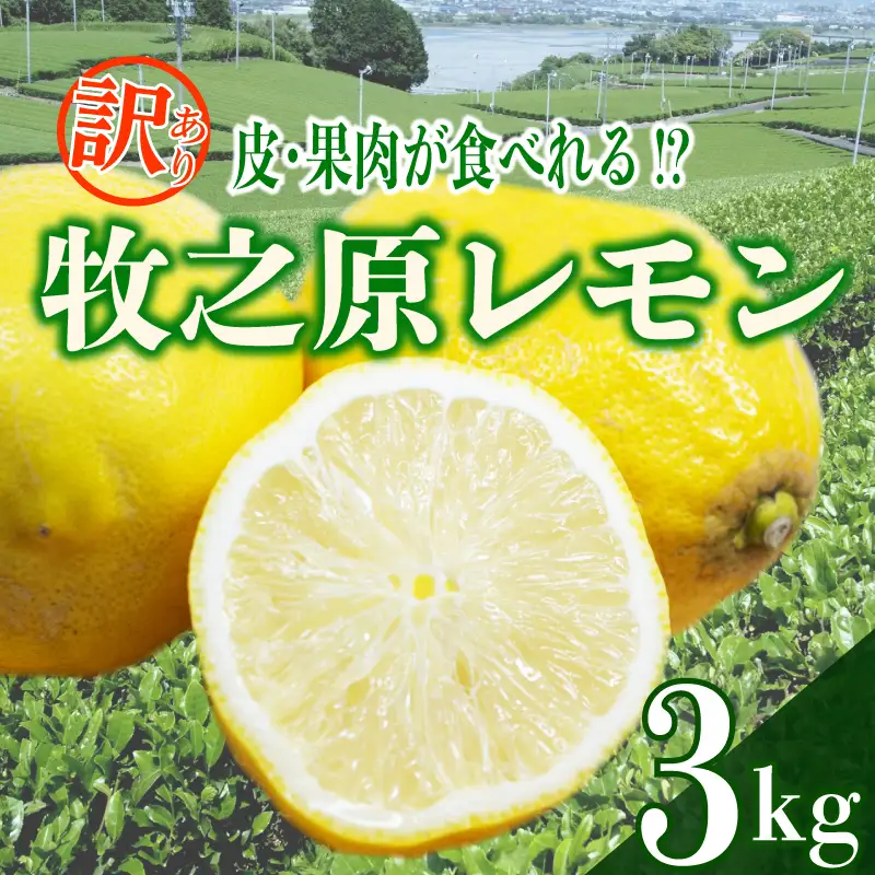 【先行予約 レモン】檸檬 訳あり レモン 3kg 国産 檸檬