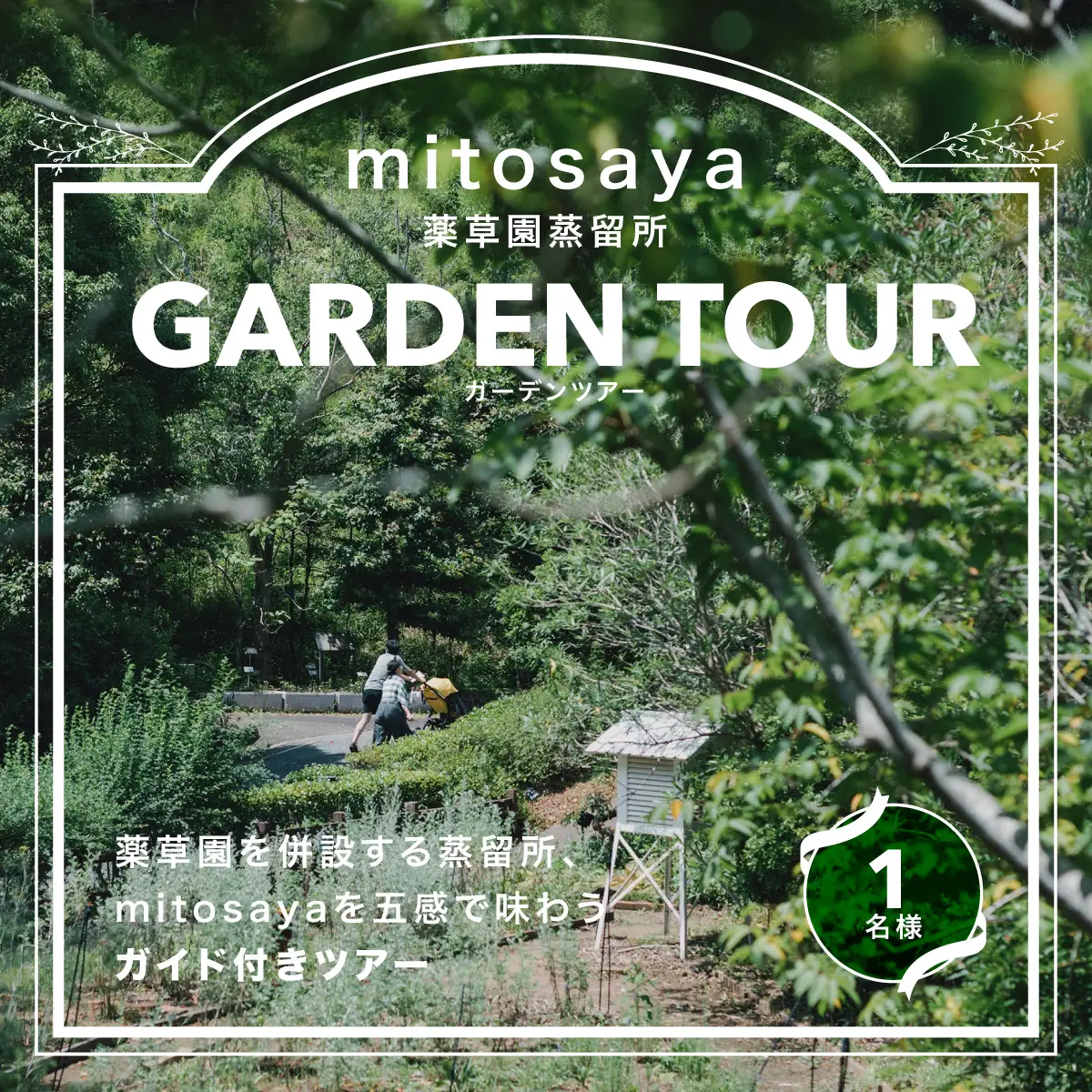 【mitosaya薬草園蒸留所】ガーデンツアー（1名様） W012503