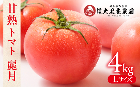先行予約（2026年7月上旬頃から順次発送）甘熟トマト 麗月 Lサイズ 4kg【119-4】