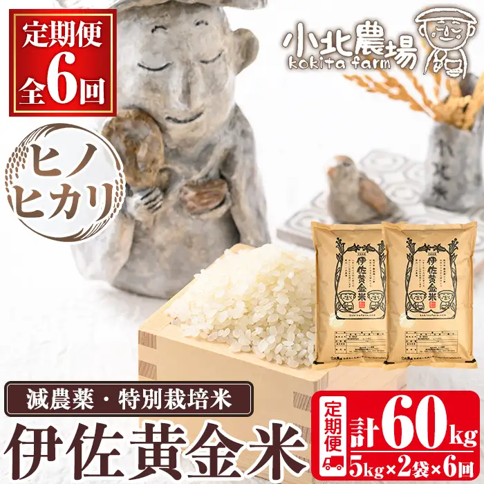 isa792 《数量限定・6回定期便》令和7年産 小北農場のお米 伊佐黄金米〈ヒノヒカリ〉(計60kg・5kg×2袋×6回) 鹿児島 伊佐 お米 60kg 定期便 6回 特別栽培米 伊佐米 白米 ヒノヒカリ ひのひかり おにぎり ごはん  【小北農場】