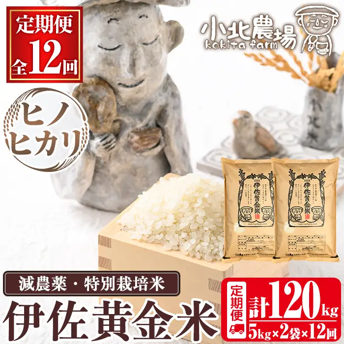 isa793 《数量限定・12回定期便》令和7年産 小北農場のお米 伊佐黄金米〈ヒノヒカリ〉(計120kg・5kg×2袋×12回) 鹿児島 伊佐 お米 120kg 定期便 12回 特別栽培米 伊佐米 白米 ヒノヒカリ ひのひかり おにぎり ごはん  【小北農場】