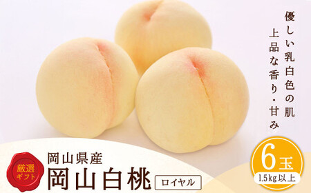 白桃 6玉 （1.5kg以上） 等級 ： ロイヤル 化粧箱入り 【2026年7月上旬～8月上旬迄発送予定】 ／ 桃 もも モモ はくとう 果物 くだもの フルーツ 果実 デザート 冷蔵
