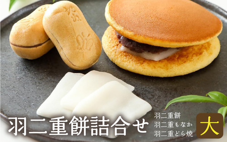 羽二重餅詰合せ（大）[A-046004] / 羽二重餅 餅 もち ふんわり 餅菓子 和菓子 菓子 銘菓 絹 個包装 ギフト プレゼント 最中 もなか モナカ どら焼き どらやき 