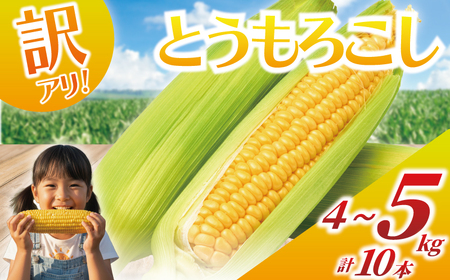 訳あり とうもろこし 計 10本 約 4 ～ 5kg