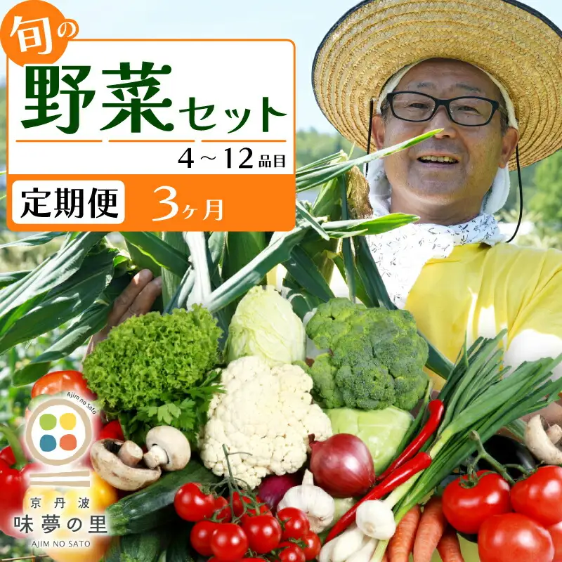 【3回定期便】 道の駅京丹波味夢の里 『旬のお野菜』 詰め合わせセット 野菜詰め合わせ 4~12種類