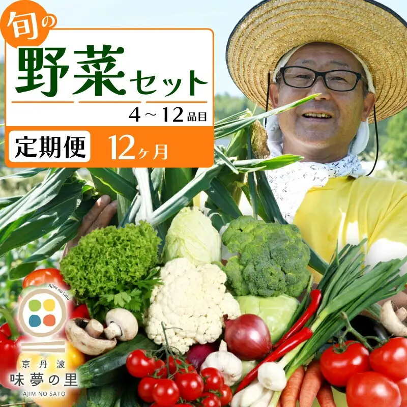 【12回定期便】 道の駅京丹波味夢の里 『旬のお野菜』 詰め合わせセット 野菜詰め合わせ 4~12種類
