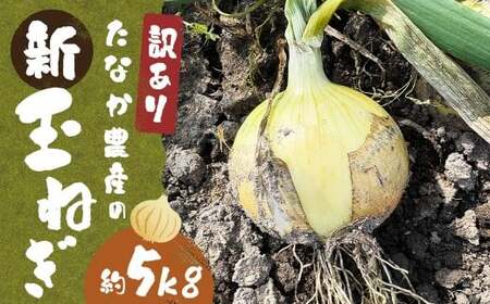 新玉ねぎ 5kg | 玉ねぎ