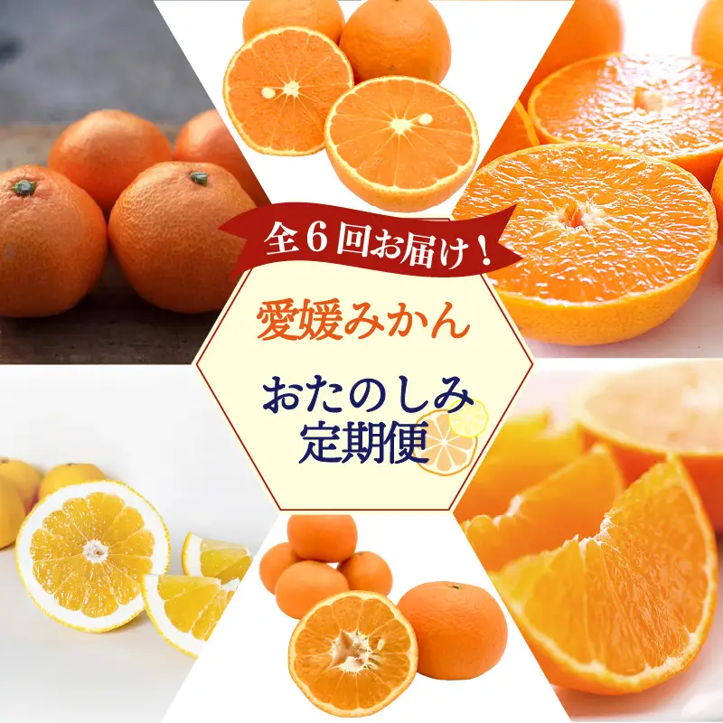 愛媛みかん おたのしみ定期便 全6回 紅まどんな 入り みかん 【KK335】