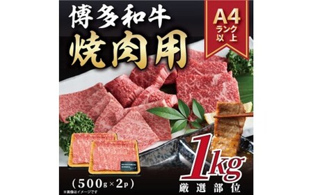 BB034.【A4～A5】博多和牛焼肉用約1kg（500g×2p）【博多和牛】