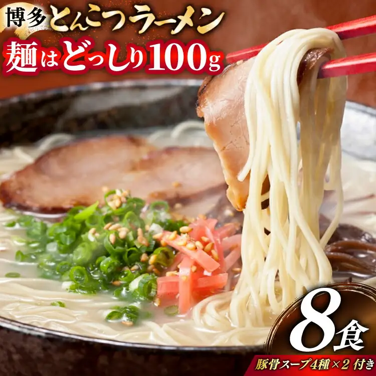 豚骨ラーメン とんこつ 麺1袋100g 8食 スープ 4種類 豚骨ラーメン [um40bfw560011]