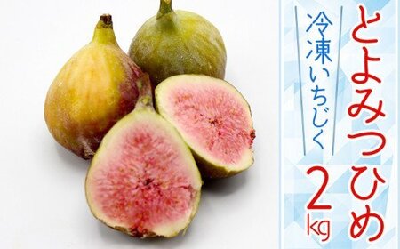 【福岡県産】冷凍とよみつひめ（イチジク）　２ｋｇ（１ｋｇ×２） 2L8-S