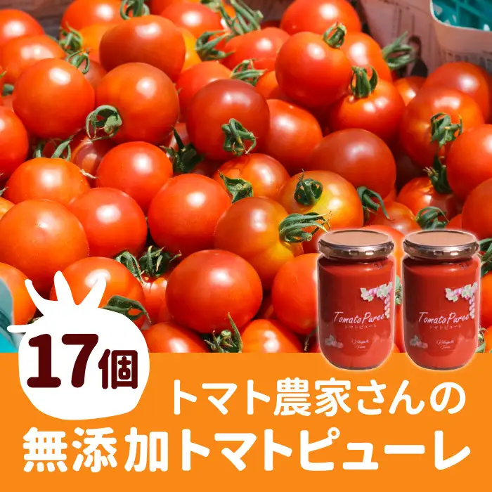 保存料・食塩・化学調味料不使用！トマト農家さんのトマトピューレ 17個 ( 320g×17個 ) トマト 野菜 ピューレ パスタソース 万能 フルティカトマト 51,000円 51000円