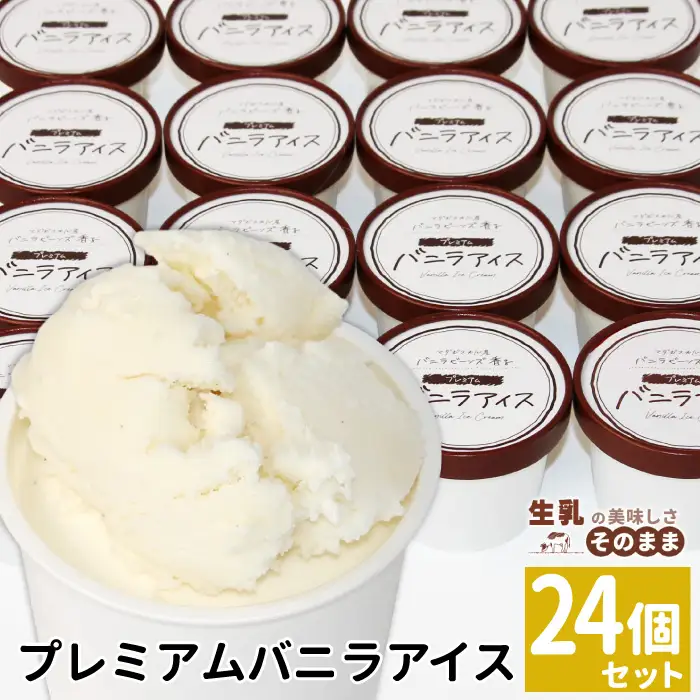 2026年7月1日～寄付金額変更★〈スピード発送〉マダガスカル産 バニラビーンズ香る バニラアイスクリーム 24個 80ml 生乳 牛乳 ミルク スイーツ アイスクリーム バニラビーンズ 12000円 プレミアム バニラアイス デザート