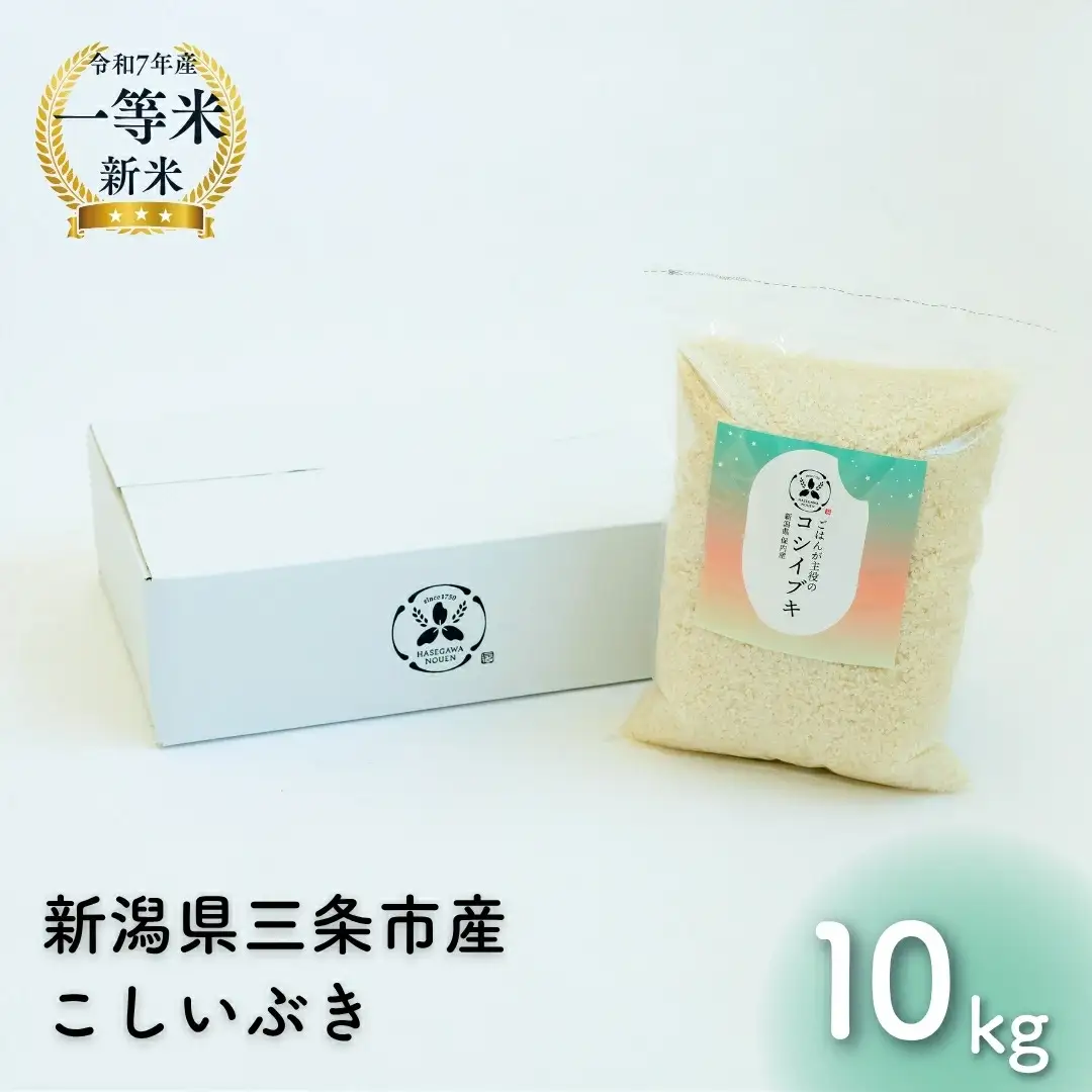 新潟県産こしいぶき 10kg 1等米 2025年産 三条市保内産 精米 白米 令和7年産 米 【032S041】