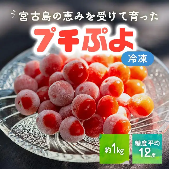 宮古島産ミニトマト【プチぷよ】冷凍　1kg（PN04）