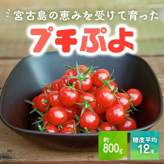 宮古島産 トマト 【プチぷよ】 約800g　糖度平均12度（PN02）
