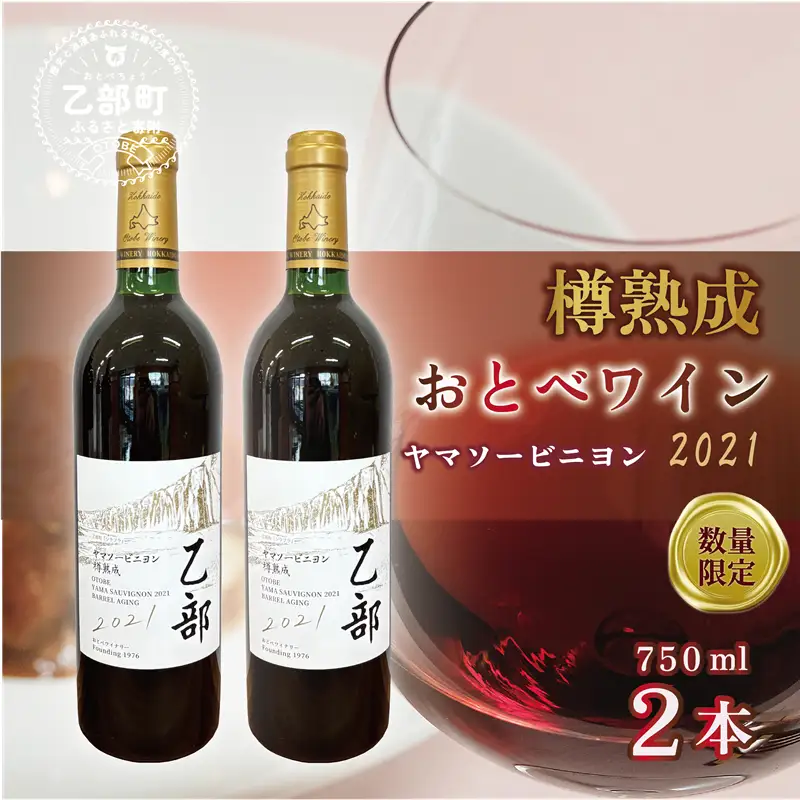 ＜おとべワイン ヤマソービニヨン 750ml×2本セット＞北海道 乙部町 道産 道南 道南ワイン おとべワイン ワイン 赤ワイン 限定 限定品 芳醇 香り