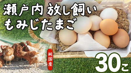 大崎上島産 もみじの 卵 30個 ( 27個+割れ保障3個 )
