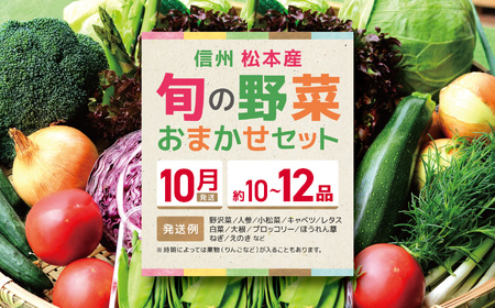 【先行受付】【10月】信州松本産・旬の野菜 おまかせセット（約10～12品）