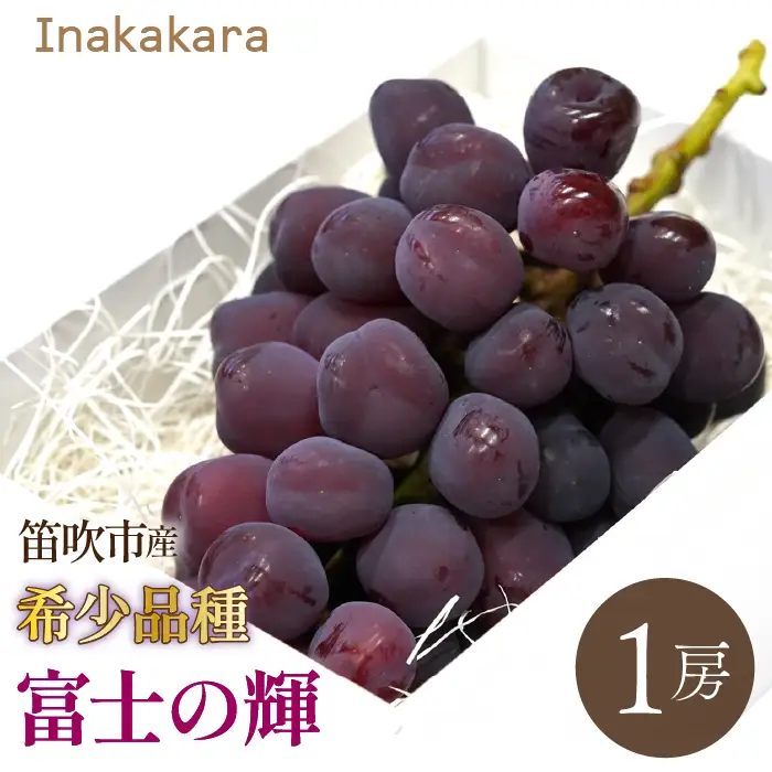 【2026年発送★先行予約】　Inakakara 希少品種「富士の輝」1房(約600～650g) 192-024