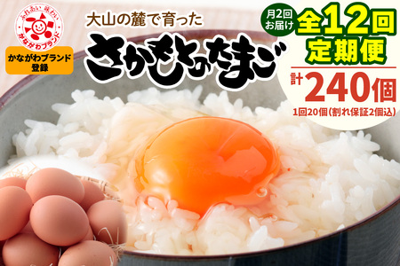 [定期便／6ヶ月×月2回 (全12回)] さかもとのたまご 20個 (18個＋割れ保証2個) 合計240個 [0807]