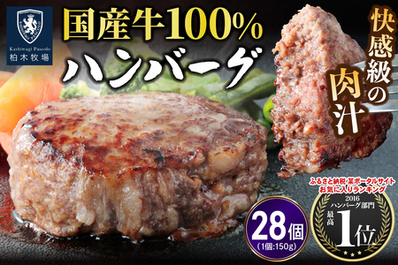 柏木牧場特製 国産牛100%ハンバーグ (150g×28個) [0761]