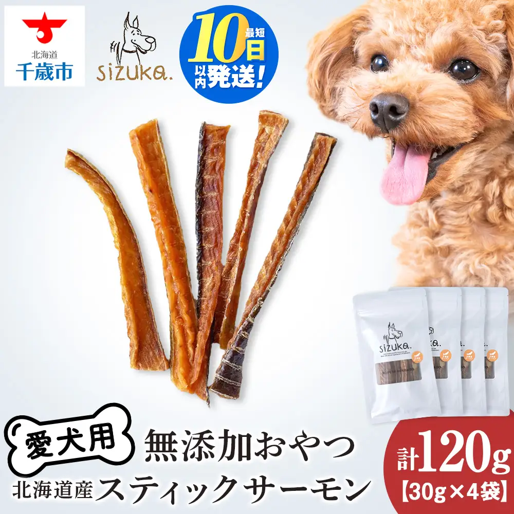 スティックサーモン 30g×4袋