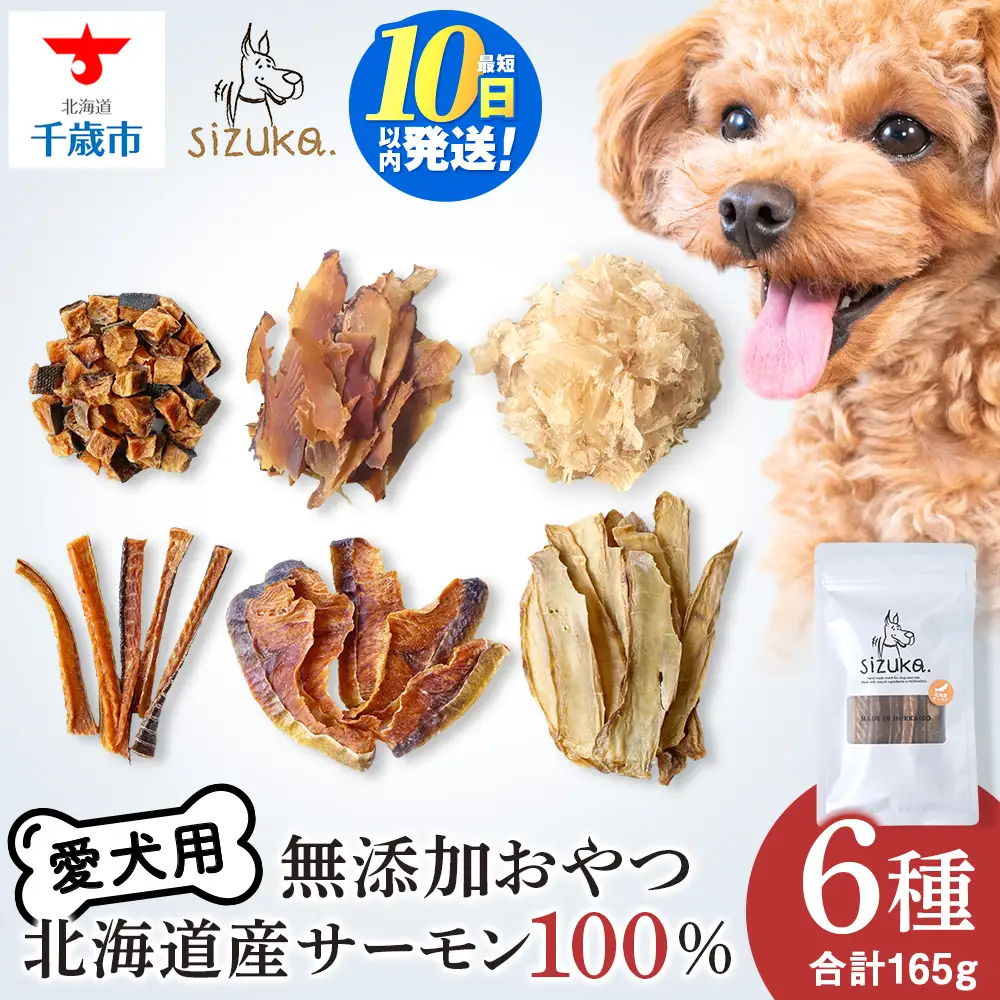 愛犬用 無添加おやつ 北海道産サーモン100％ 6点セット