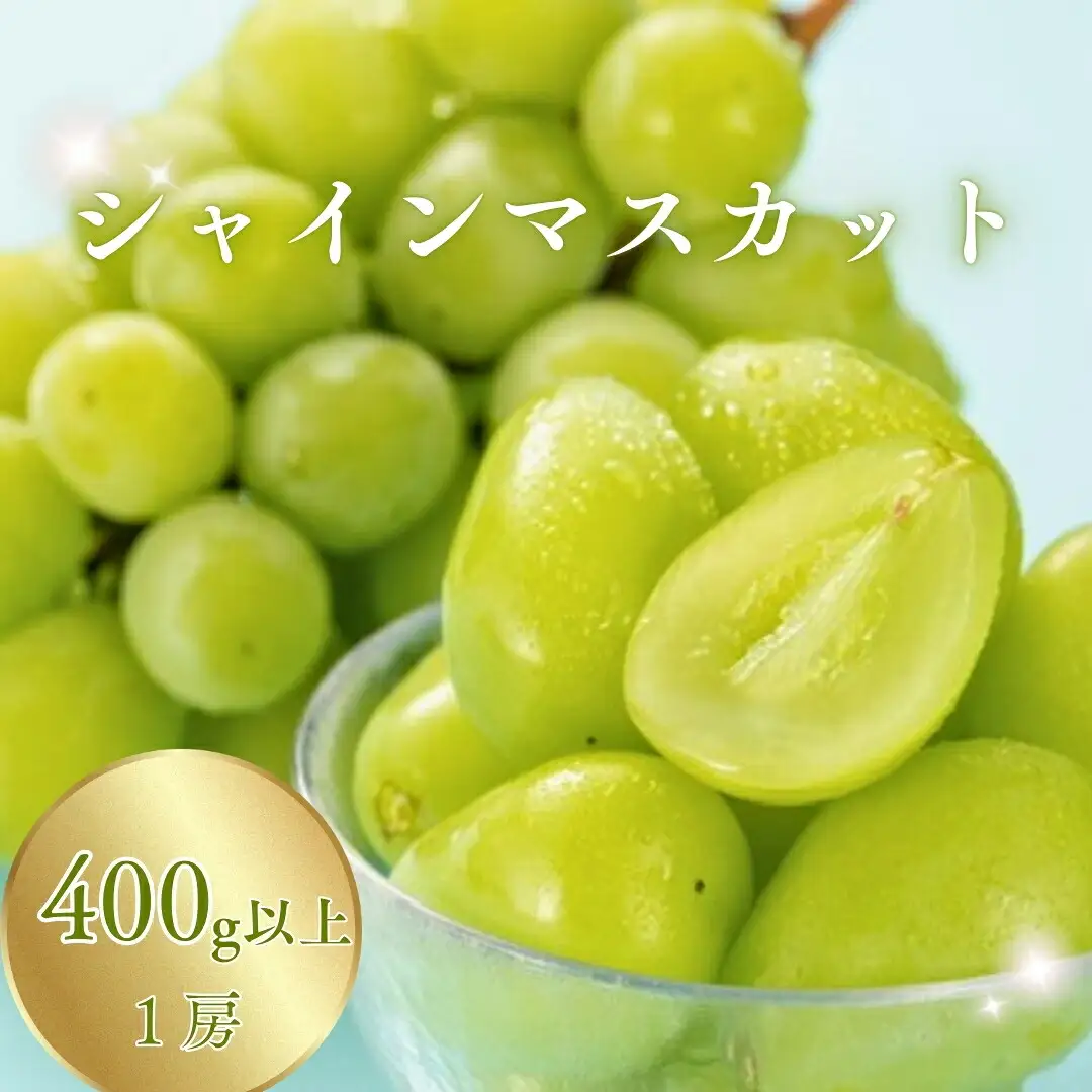 【2026年先行予約】シャインマスカット 400g以上(1房) | シャインマスカット