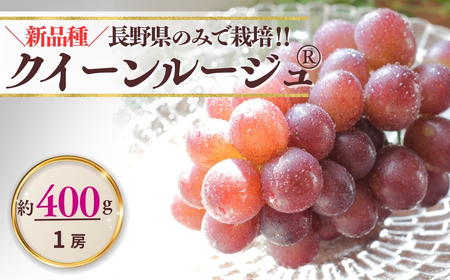 【2026年先行予約】クイーンルージュ®  400g以上(1房)  | ぶどう ぶどう