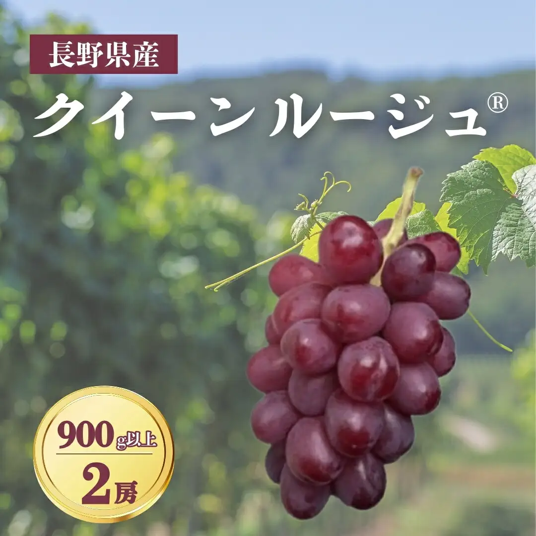 【2026年先行予約】クイーンルージュ® 900g以上（2房）｜ぶどう ぶどう