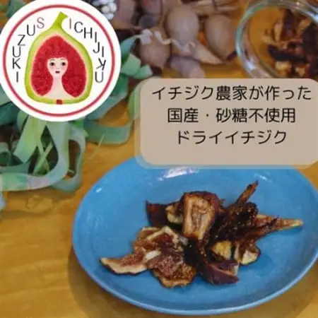 愛知県産　ドライイチジク【1671575】