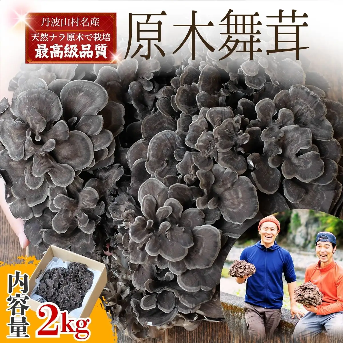 【2026年先行予約】原木 舞茸 約2kg  舞茸 まいたけ  きのこ【tab0225-2000】