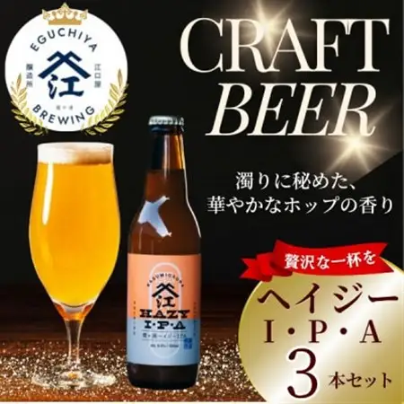 クラフトビール ヘイジーIPA 計990ml 3本セット【配送不可地域：離島】【1650942】