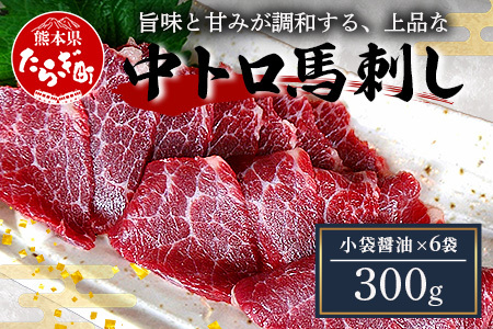 熊本県【中トロ 馬刺し】 300g 霜降り 馬肉 ばさし トロ 専用醤油付 馬 肉 阿蘇牧場 121-0511
