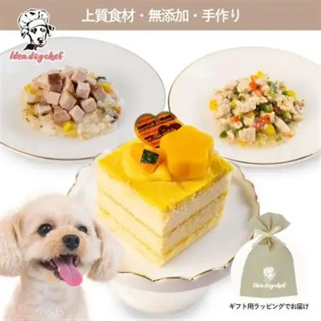 【ホクホクかぼちゃのケーキセット】犬用ケーキ・ごはん 無添加 手作り Idea dog chef【配送不可地域：離島】【1660615】