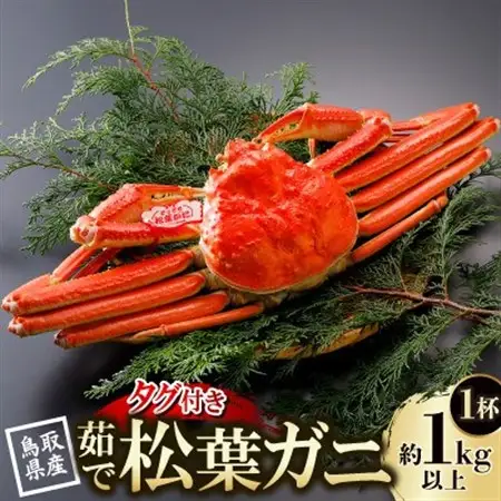 【先行予約】鳥取県産 タグ付き 茹松葉がに 1kg以上×1杯(中村商店)2027年1月末より順次発送【配送不可地域：離島・北海道・沖縄県・東北・信越、北陸】【1648752】