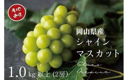 厳選 岡山県産 シャインマスカット 1.0kg以上 2房 【2026年先行予約】 【kgftmt001-02】