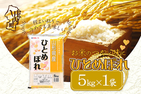 山形県産 ひとめぼれ 5kg 令和7年産 2025年産 ブランド米 米 国産 単一原料米 山形 庄内平野
