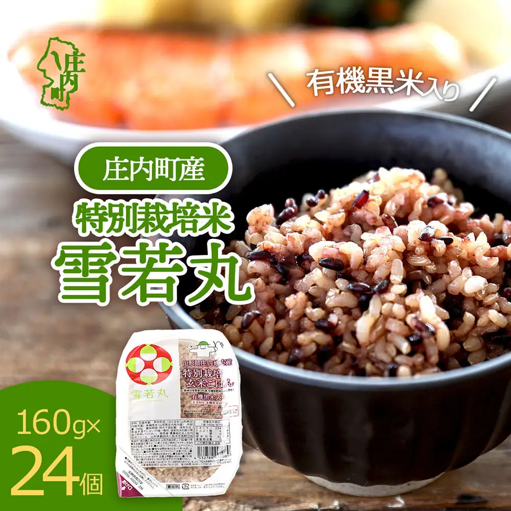 雪若丸 特別栽培玄米 パックごはん 160g×24個 有機黒米入 健康 ダイエット 備蓄 保存食 防災 簡単レンジ 温めるだけ 湯煎調理 レトルト ごはん ライス 玄米