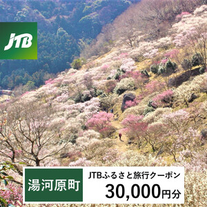 【湯河原町】JTBふるさと旅行クーポン（30,000円分）有効期間3年（Eメール発行） 湯河原温泉 宿泊