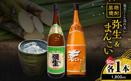奄美 でしか造れない 黒糖焼酎 弥生（ 30度 1,800ml ）& まんこい （ 30度 1,800ml ） 2本入セット A185-017 焼酎 酒 お酒 アルコール 黒糖 本格焼酎 奄美でしか造れない セット 受賞 優等賞受賞 ロック 水割り お湯割り レモンサワー 美味しい 川崎商店 ふるさと納税 鹿児島 奄美市 おすすめ ランキング プレゼント ギフト