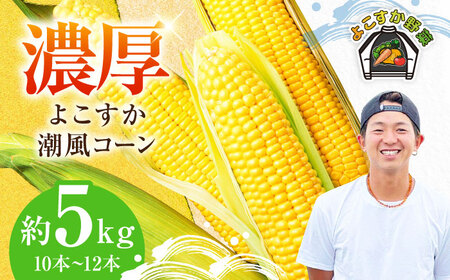 【先行予約】【数量限定100セット】よこすか潮風コーン 10本~12本 計約5kg 【井上農園】とうもろこし トウモロコシ[AKDJ002]