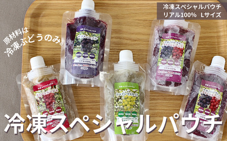TK25 ぶどう 冷凍スペシャルパウチ リアル100％ Lサイズ（95g） 5個 // 長野県 南信州 冷凍フルーツ 冷凍パウチ パウチ シャーベット スムージー 無添加 無加糖 無加水 葡萄 シャインマスカット ナガノパープル クインルージュ