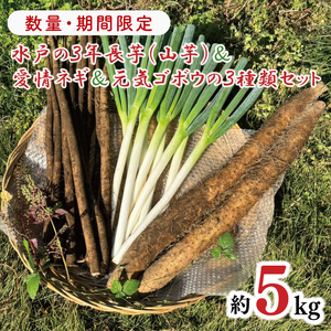【2026年11月下旬～2027年１月下旬配送】【数量限定】水戸の３年長芋（山芋）＆愛情ネギ＆元気ゴボウの３種類セット【茨城県産 野菜 やさい 野菜セット 水戸野菜 ごぼう 牛蒡 ながいも やまいも ねぎ 葱 国産 新鮮 産地直送 農家直送 生産者】（HD-2）